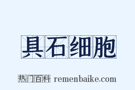 具石细胞是什么意思的图片